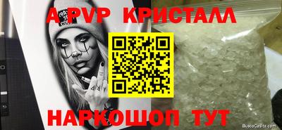 молекула духа Будённовск