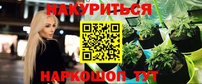 молекула духа Будённовск