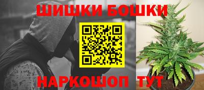 молекула духа Будённовск