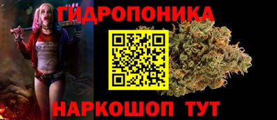 молекула духа Будённовск