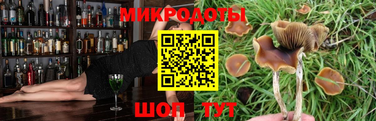 Псилоцибиновые грибы прущие грибы  Вход с VPN  закладка  Юрга 