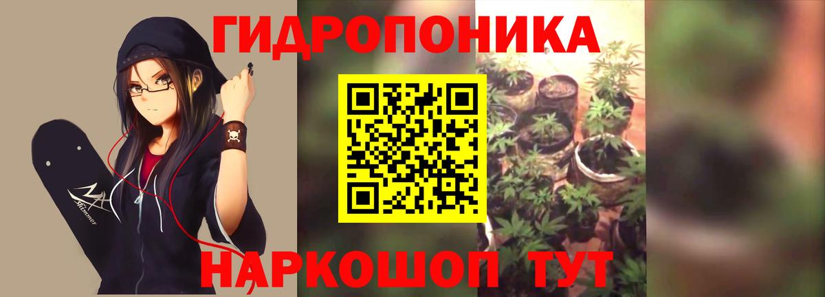 Марихуана Ganja  Бошки марихуана AK-47  Юрга  Вход с VPN 